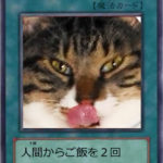 自作遊戯王カード「強欲な猫」