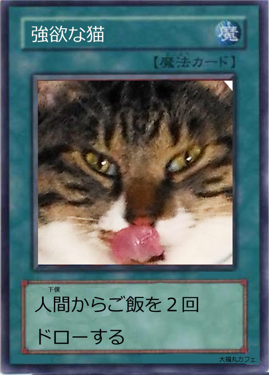 自作遊戯王カード「強欲な猫」